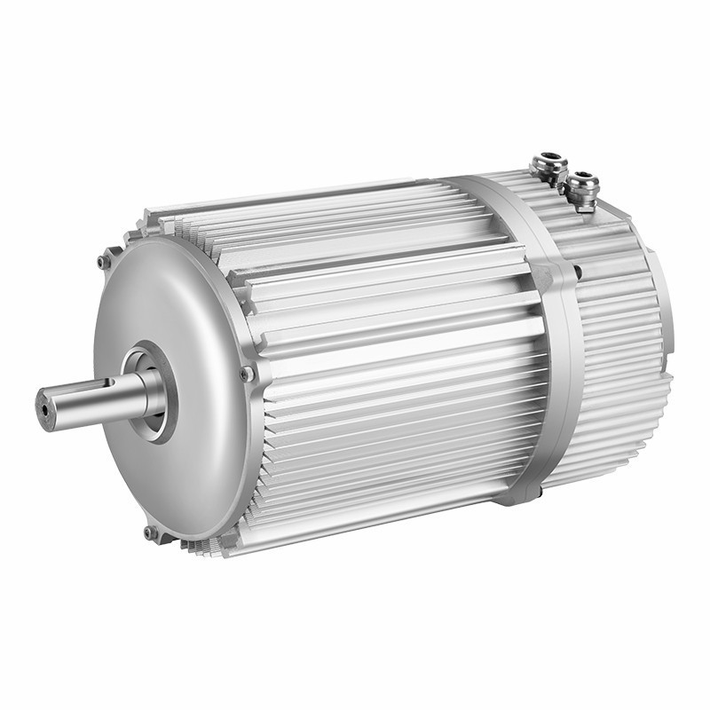 Heater Blower Fan Motor